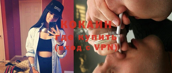стаф Аркадак
