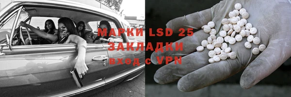 стаф Аркадак