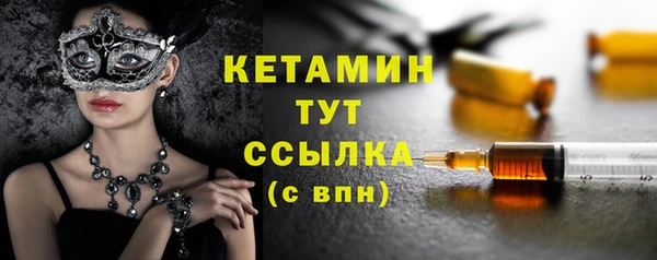 стаф Аркадак