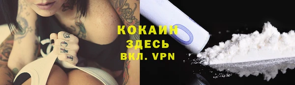 стаф Аркадак