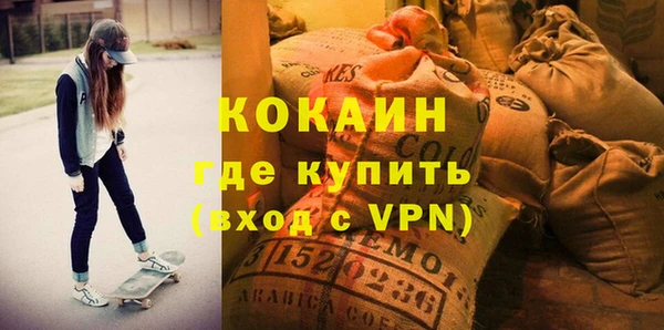 стаф Аркадак