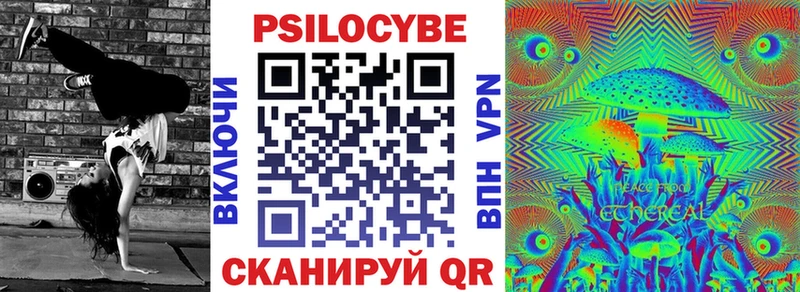 Псилоцибиновые грибы Psilocybine cubensis  Полесск 